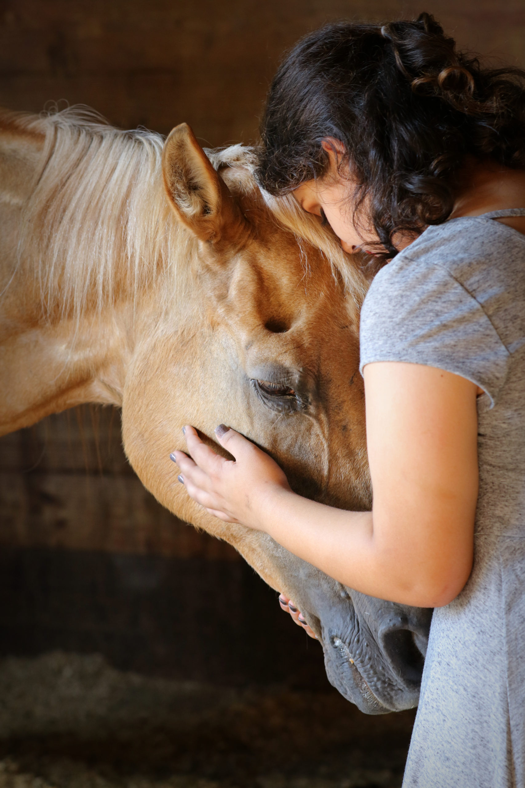 Horses - Ready Set Ride